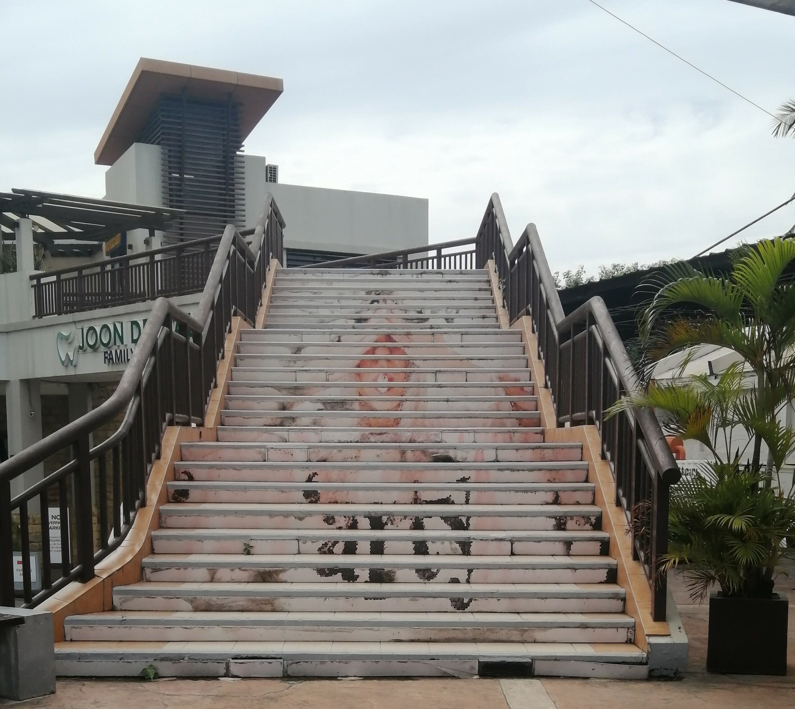 Stairway Art - The Persimmon Mabolo