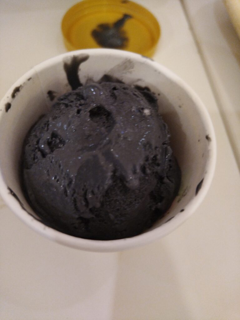 Charcoal Ice Cream